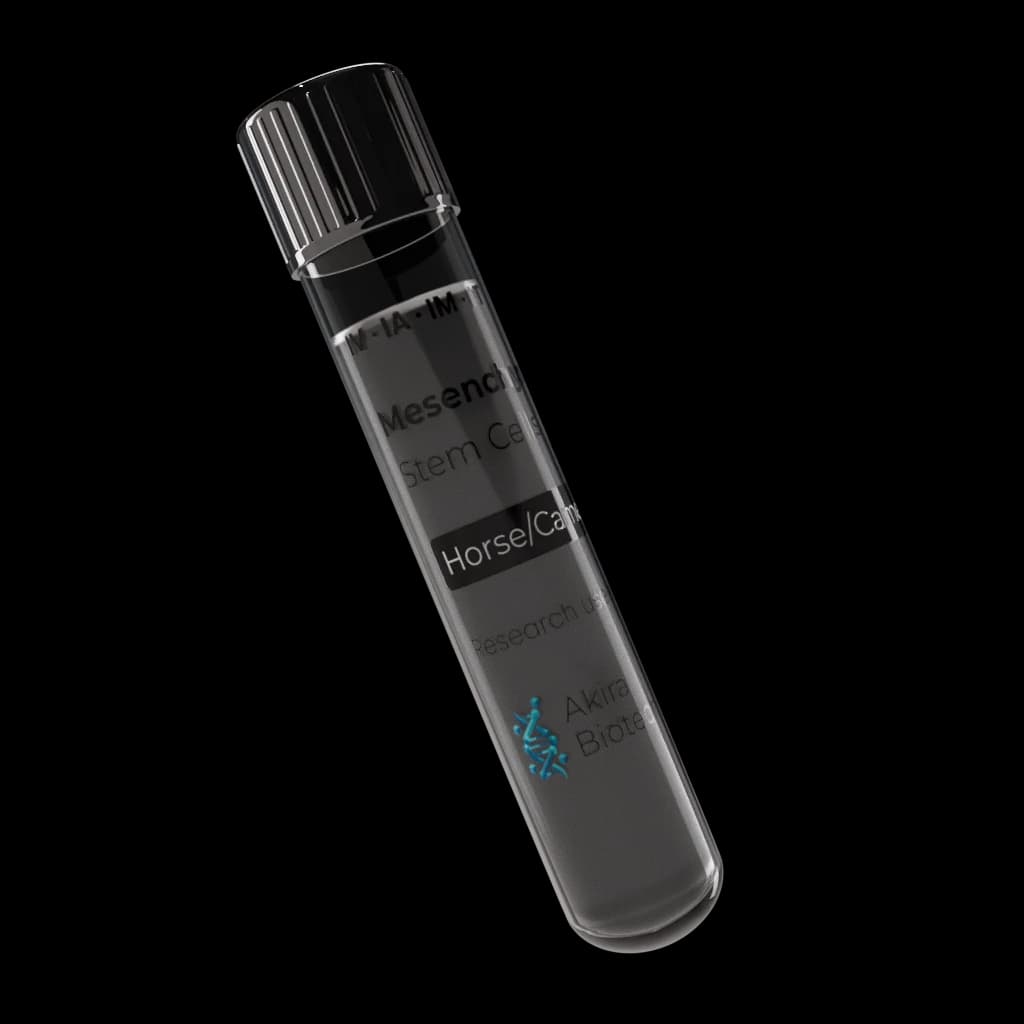 Product image for Equine and Camelid Mesenchymal Stem Cells