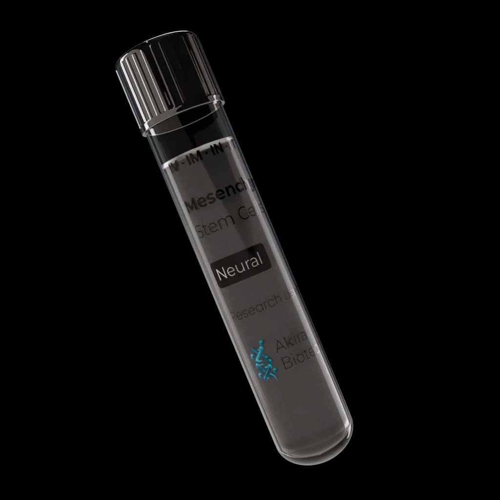 Product image for Neural Stem Cells
