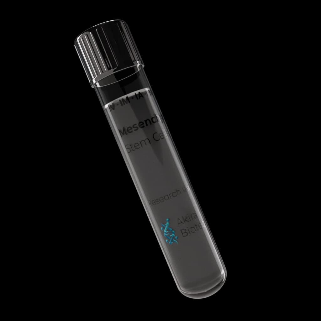 Product image for Mesenchymal Stem Cells